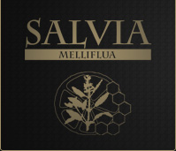 Liker Salvia Melliflua